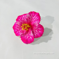 Prote de la flor de hibisco hecho a mano impreso